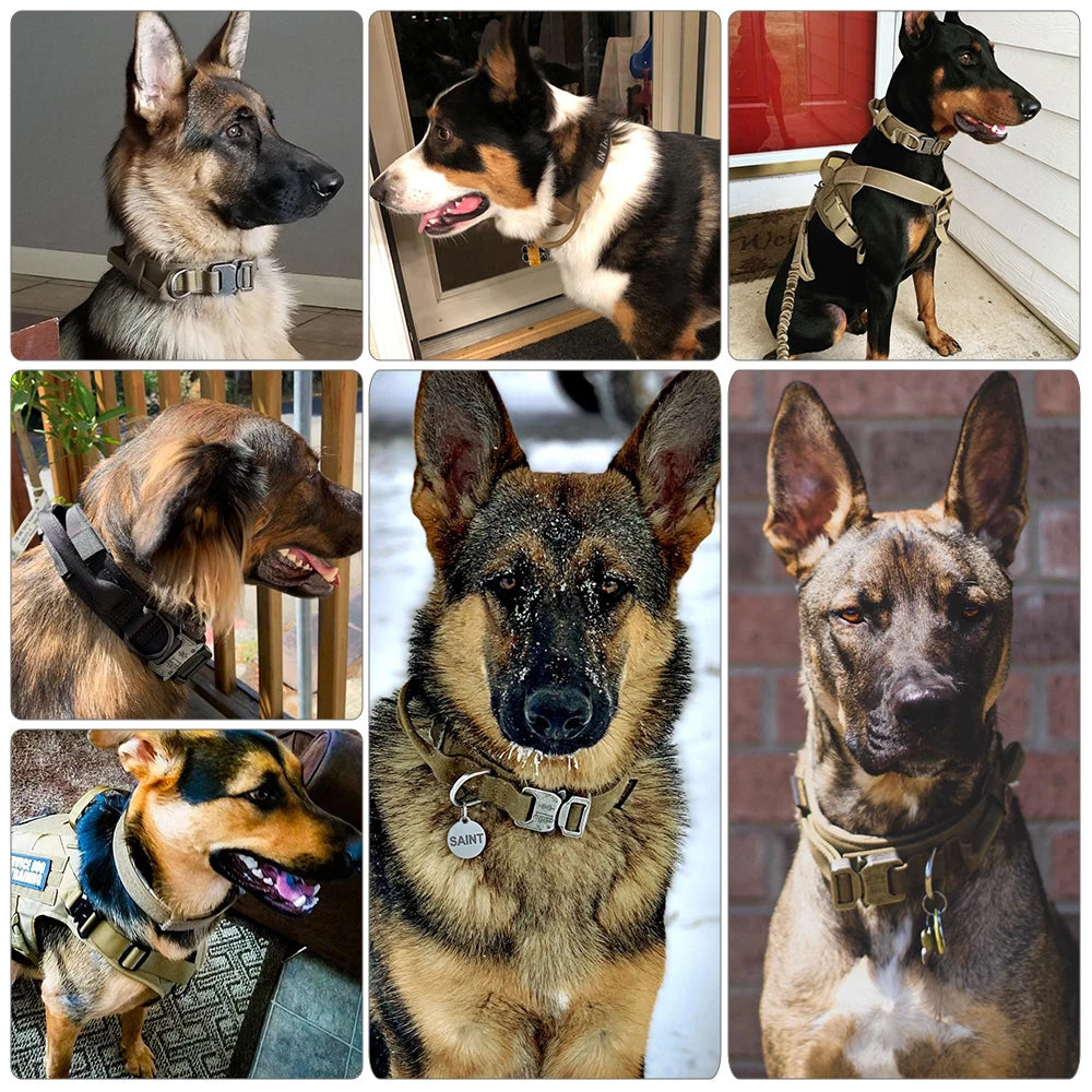 Petravelcn Dog Training Collar Adjustable Tactical Leash Set
