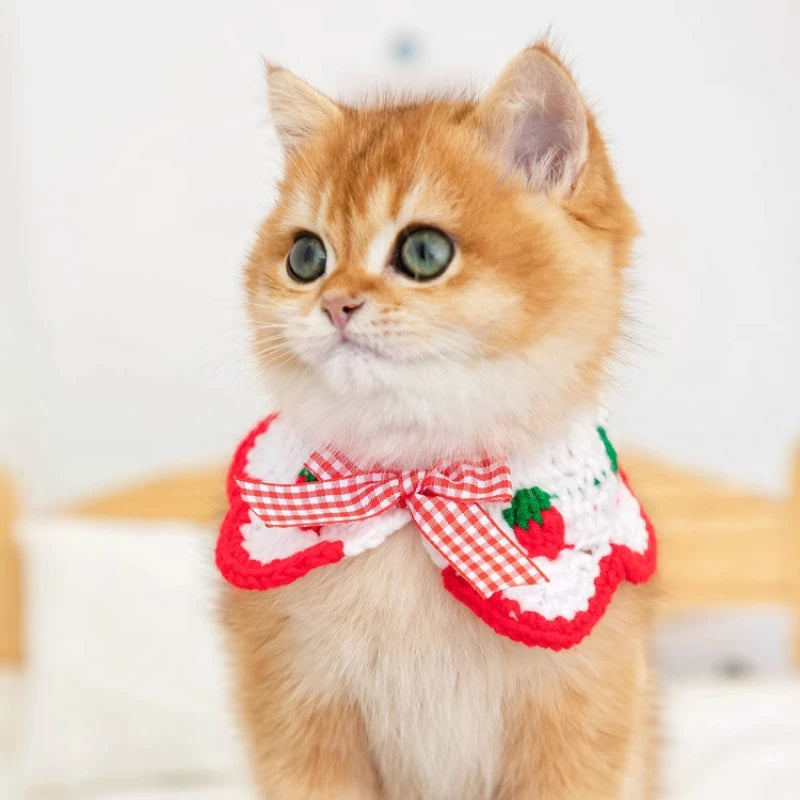 CN Zhejiang Handwoven Knitted Cat Collar Cute Bow Accessory