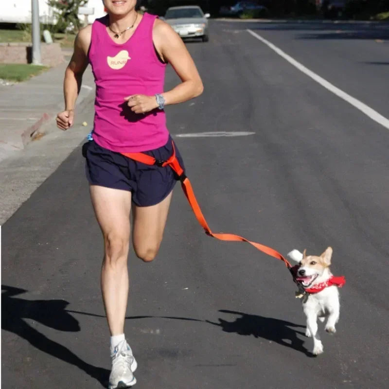 Pretty Pets Adjustable Pet Leash for Walking Cats Dogs