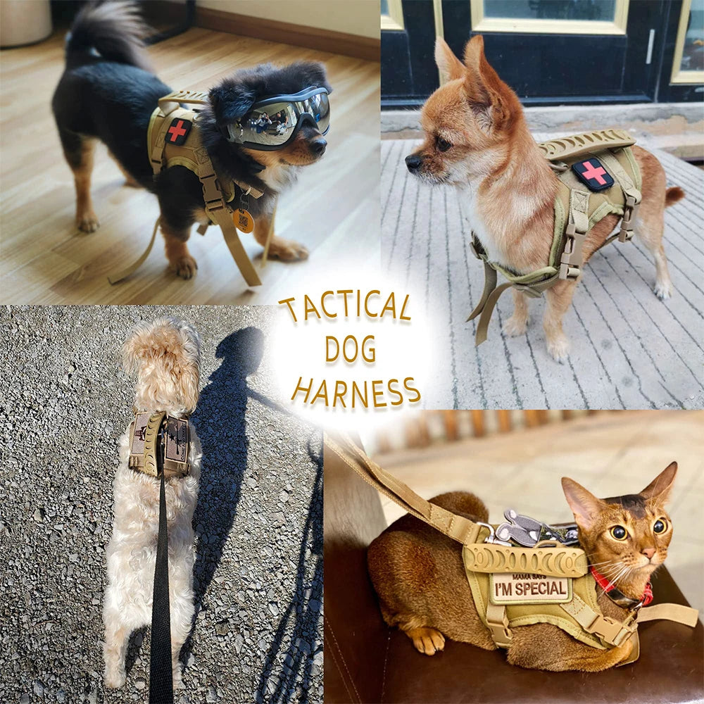 PETRAVELCN Tactical Puppy Harness And Leash Set For Dogs