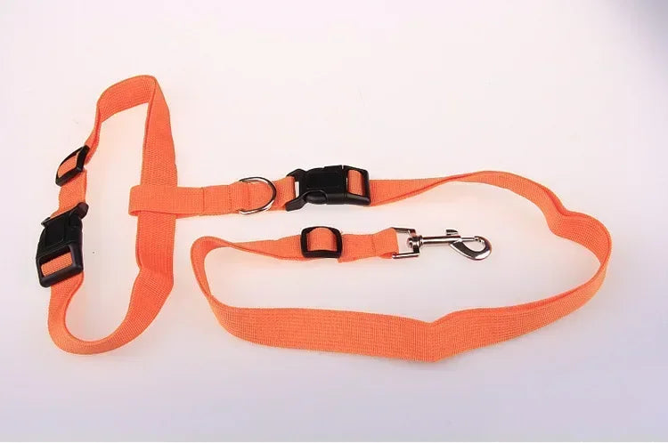 Pretty Pets Adjustable Pet Leash for Walking Cats Dogs