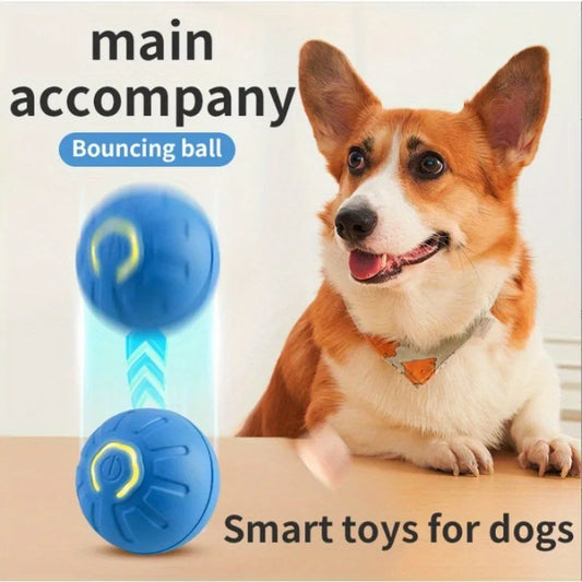 Hign-Concerned Gravity Jumping Ball Dogs and Cats Toy