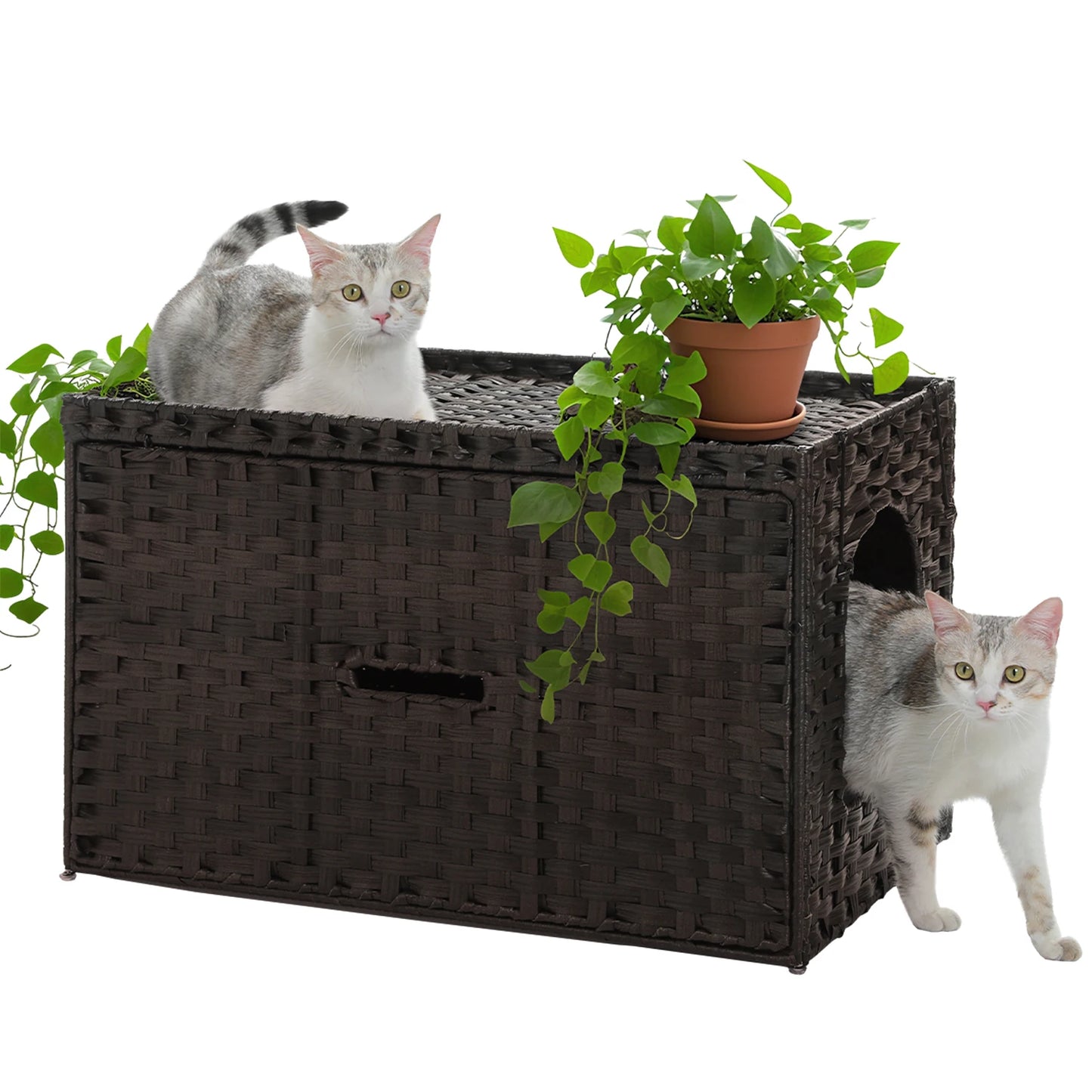 PEQULTICN Rattan Cat Litter Enclosure With Taller Doorway