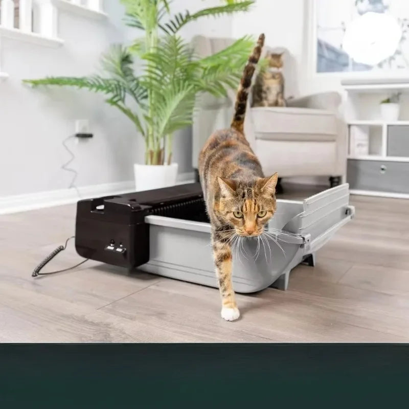 Hign-concerned Smart-Scoop Self-Cleaning Auto Cat Litter Box
