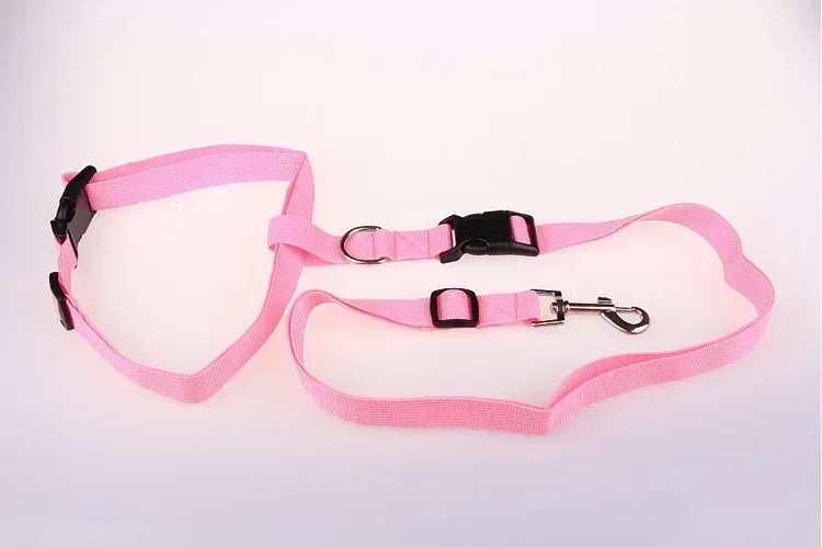 Pretty Pets Adjustable Pet Leash for Walking Cats Dogs