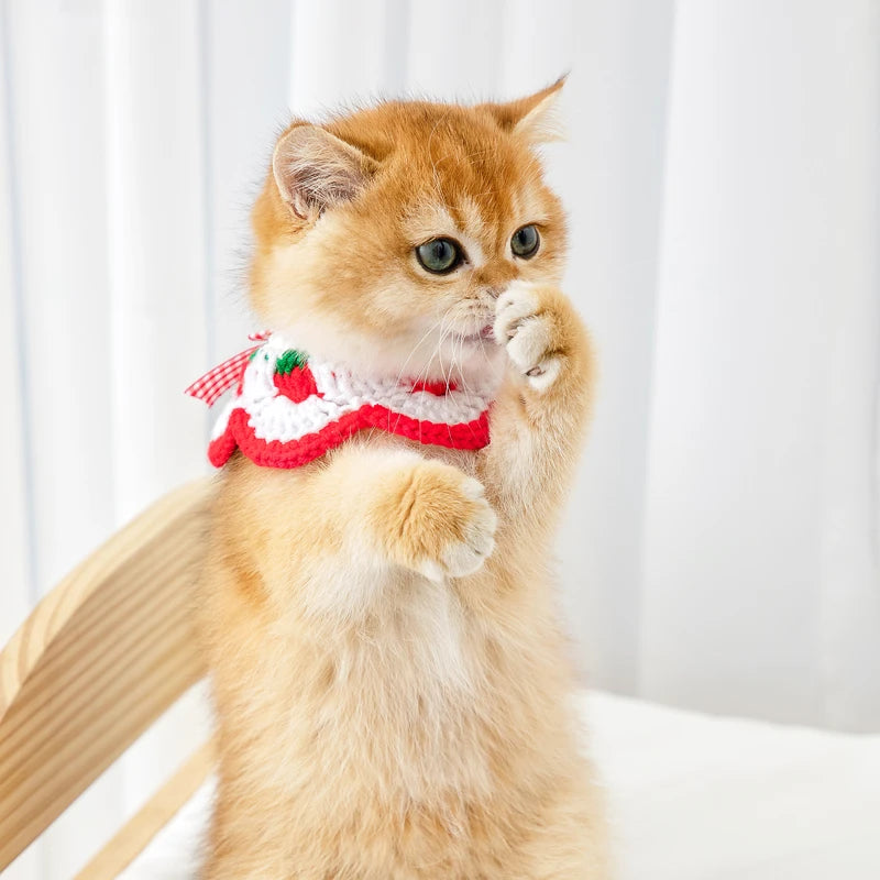 CN Zhejiang Handwoven Knitted Cat Collar Cute Bow Accessory