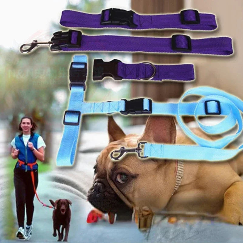 Pretty Pets Adjustable Pet Leash for Walking Cats Dogs