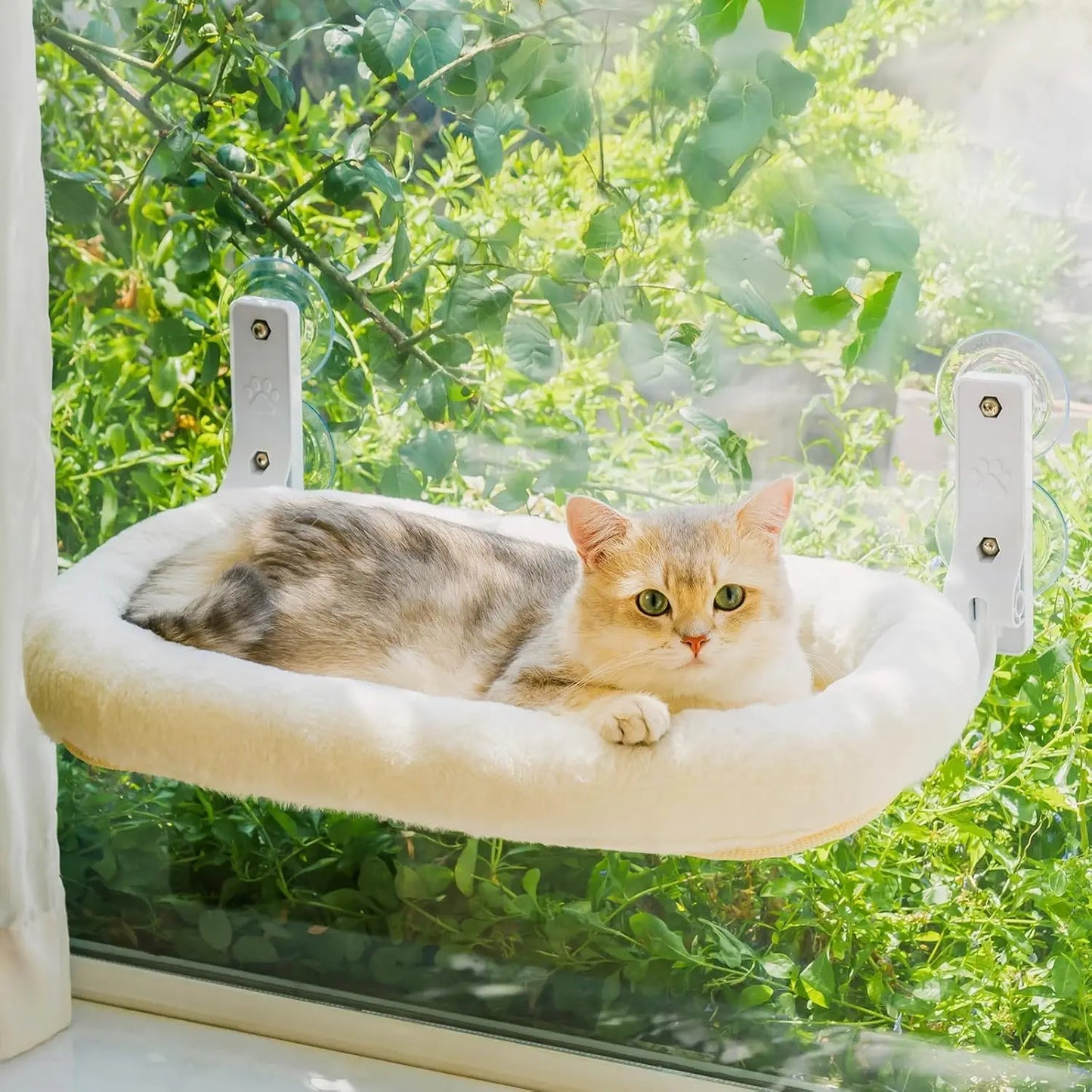 MEWOOFUN Foldable Cat Window Perch With Suction Cups