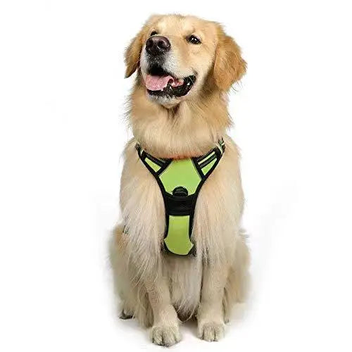 Guangdong Reflective Dog Chest Strap Harness With Leash