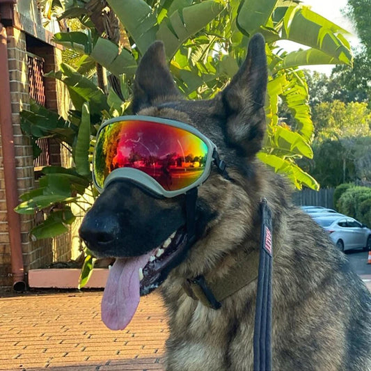 PETRAVELCN Dog Goggles UV Protection Windproof Sunglasses