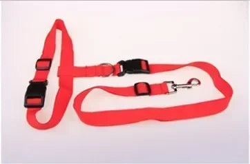 Pretty Pets Adjustable Pet Leash for Walking Cats Dogs