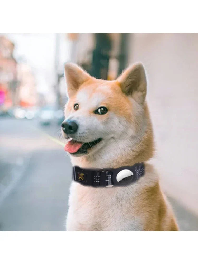 Pretty Pets AirTag Friendly Reflective Nylon Dog Collar