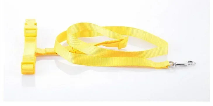 Pretty Pets Adjustable Pet Leash for Walking Cats Dogs