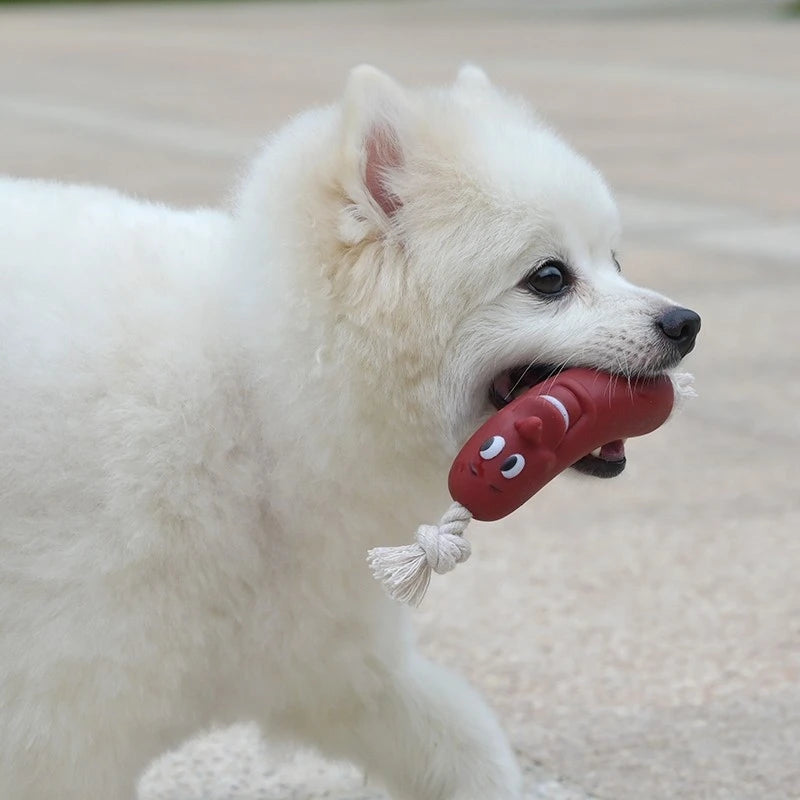 Dogstory Interactive Squeaky Dog Chew Toy Sausage Rubber