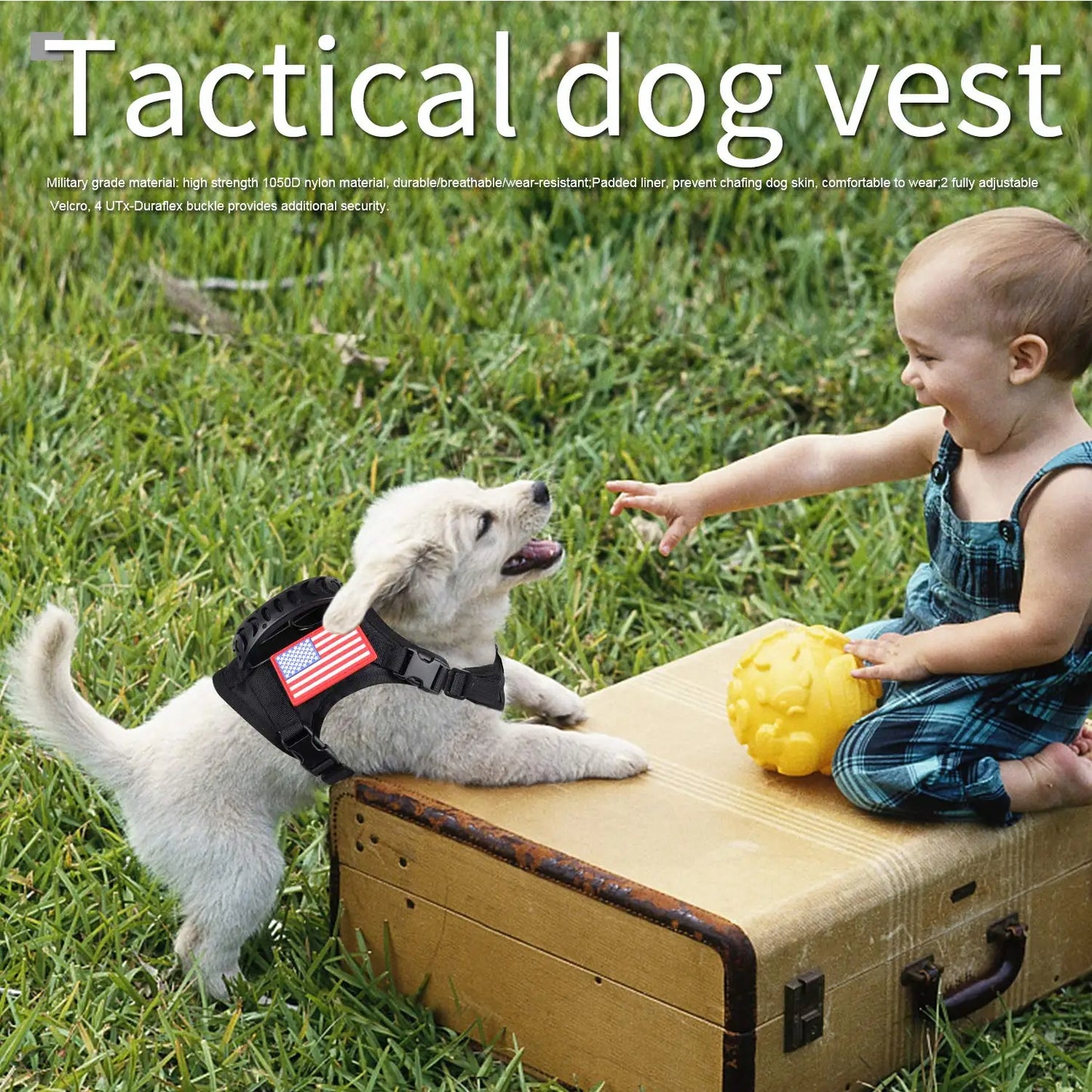 PETRAVELCN Tactical Puppy Harness Leash Set Adjustable