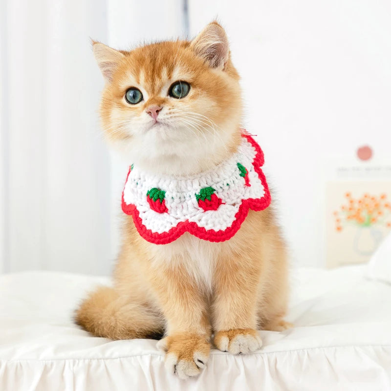 CN Zhejiang Handwoven Knitted Cat Collar Cute Bow Accessory