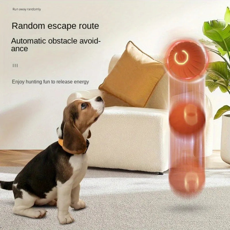 Hign-Concerned Gravity Jumping Ball Dogs and Cats Toy