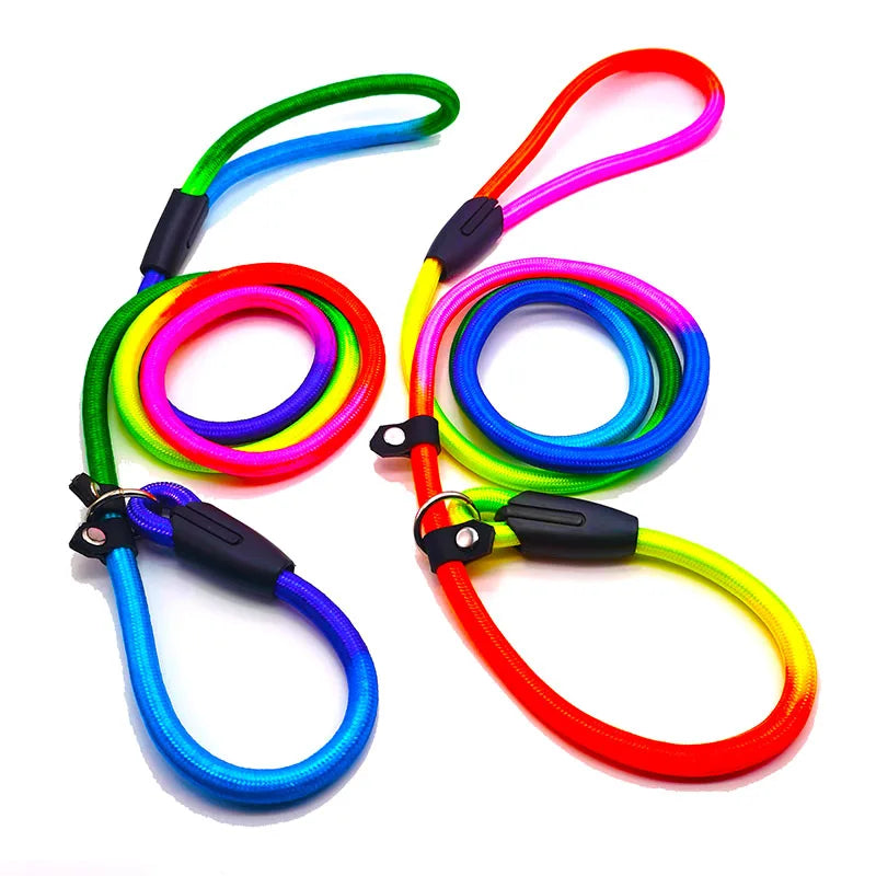 HATELICN Personalized Dog Leash And Harness Nylon Training