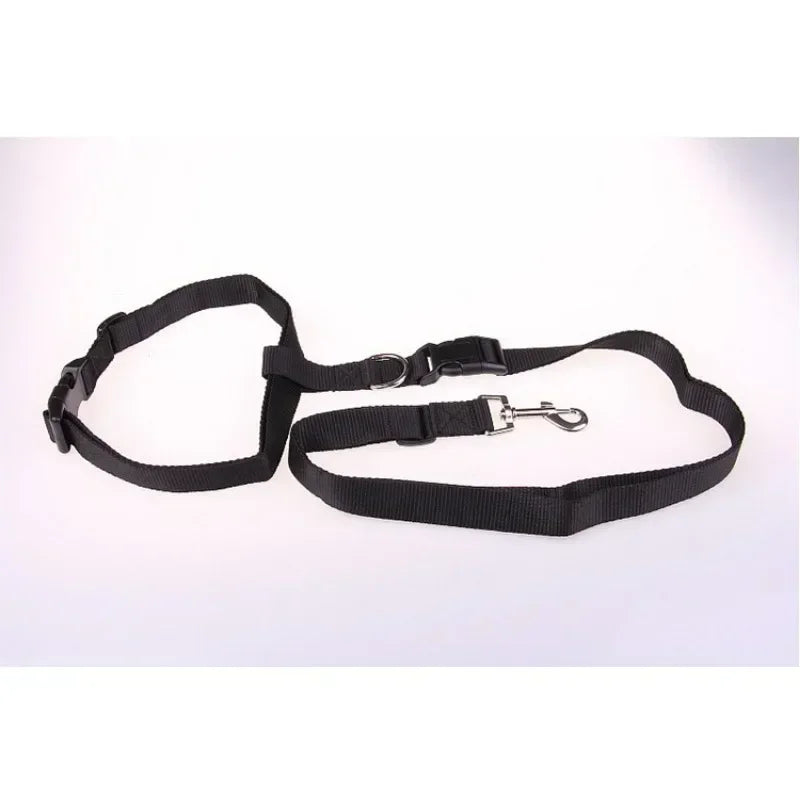 Pretty Pets Adjustable Pet Leash for Walking Cats Dogs