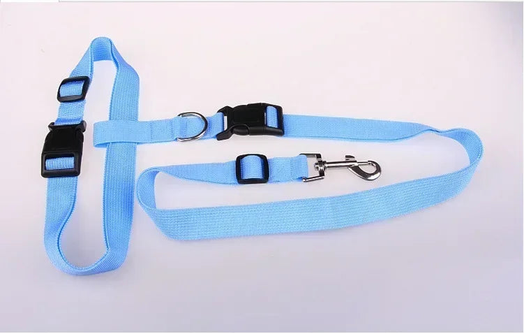 Pretty Pets Adjustable Pet Leash for Walking Cats Dogs