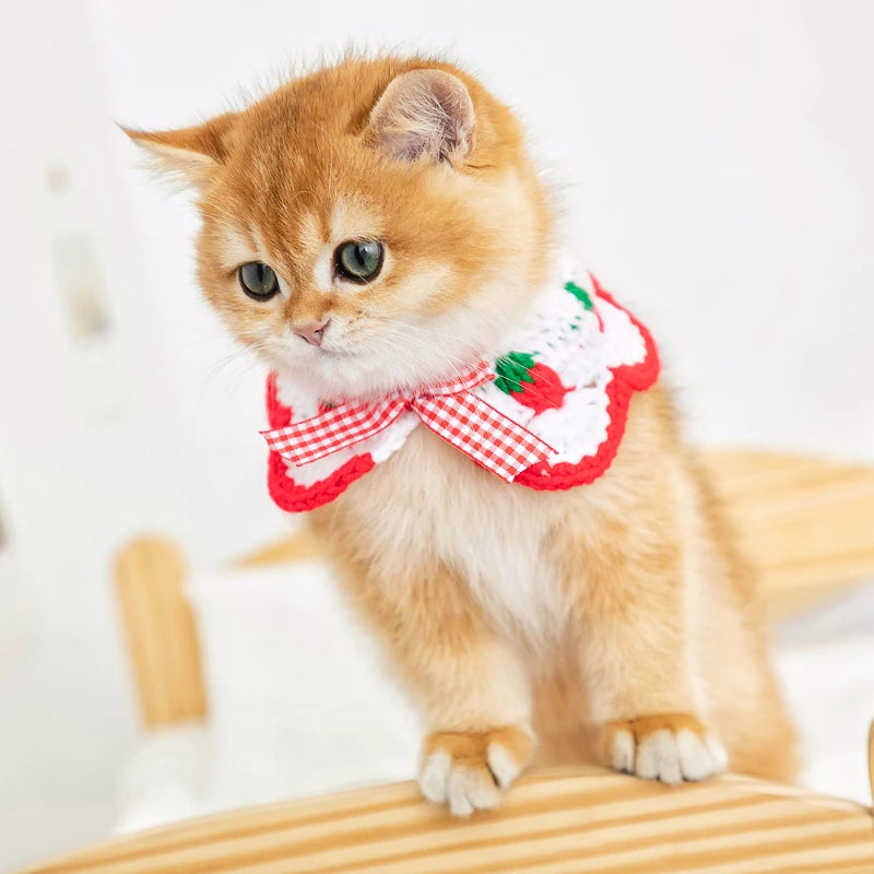 CN Zhejiang Handwoven Knitted Cat Collar Cute Bow Accessory