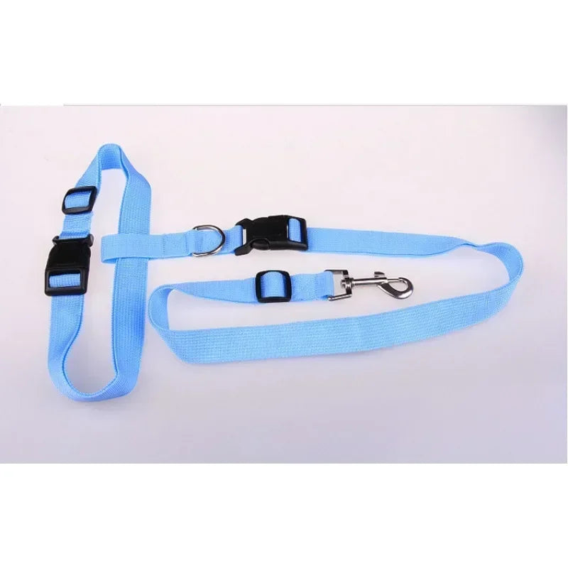 Pretty Pets Adjustable Pet Leash for Walking Cats Dogs