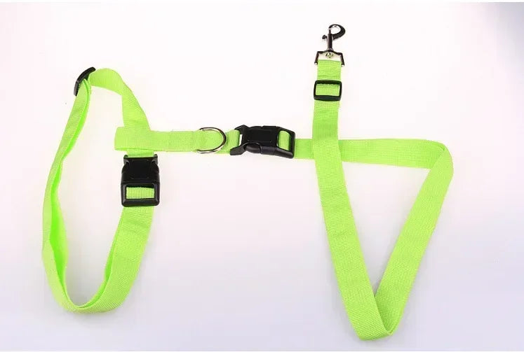 Pretty Pets Adjustable Pet Leash for Walking Cats Dogs