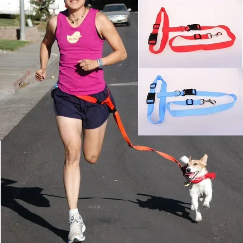 Pretty Pets Adjustable Pet Leash for Walking Cats Dogs