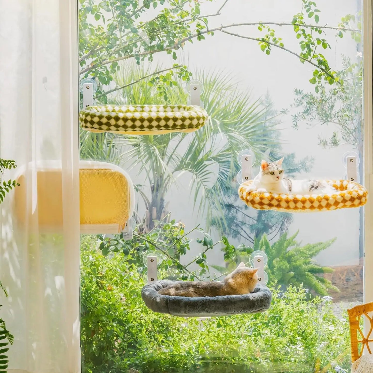 MEWOOFUN Foldable Cat Window Perch With Suction Cups