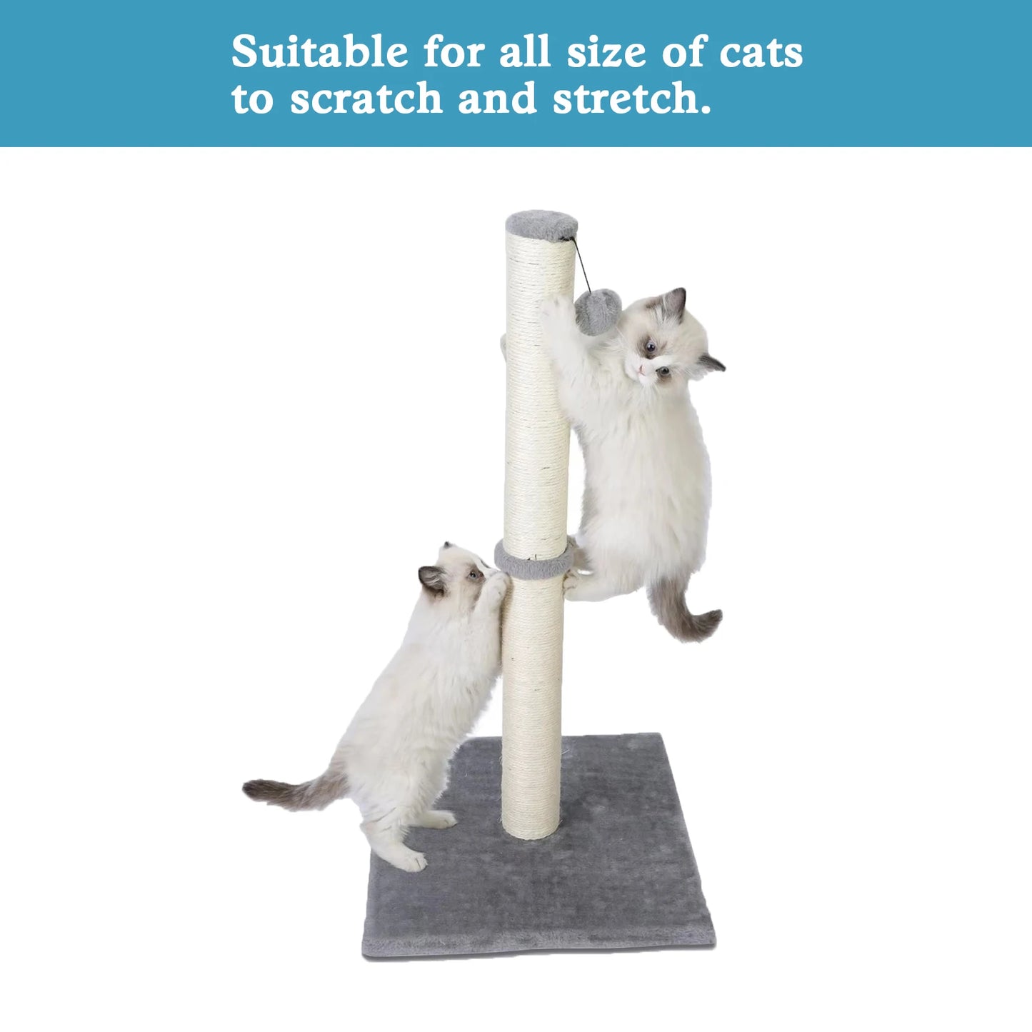 Guangdong Cat Vertical Scratching Post Dangling Ball Sisal