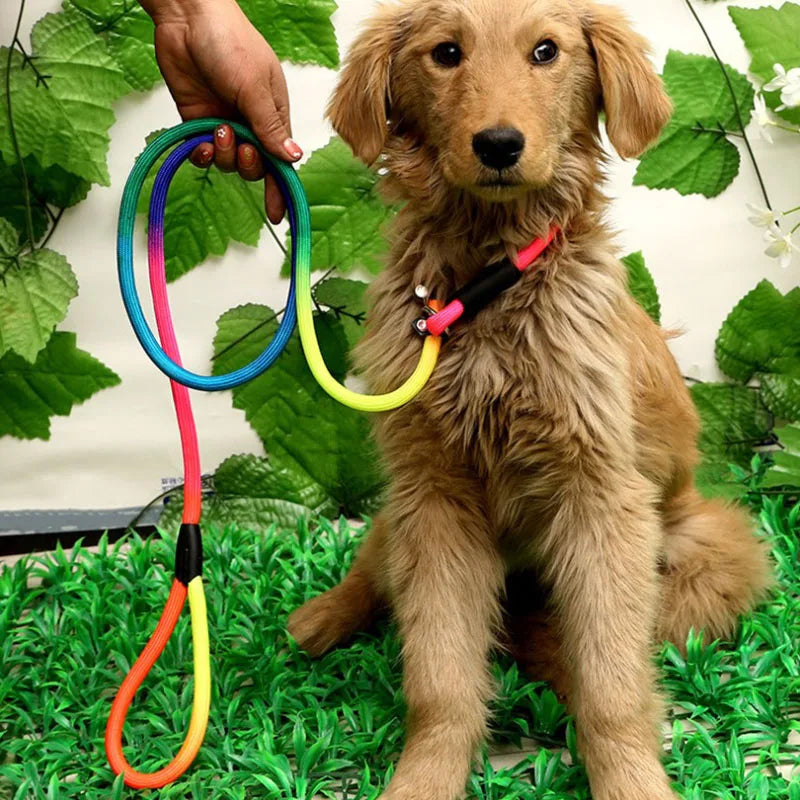 HATELICN Personalized Dog Leash And Harness Nylon Training