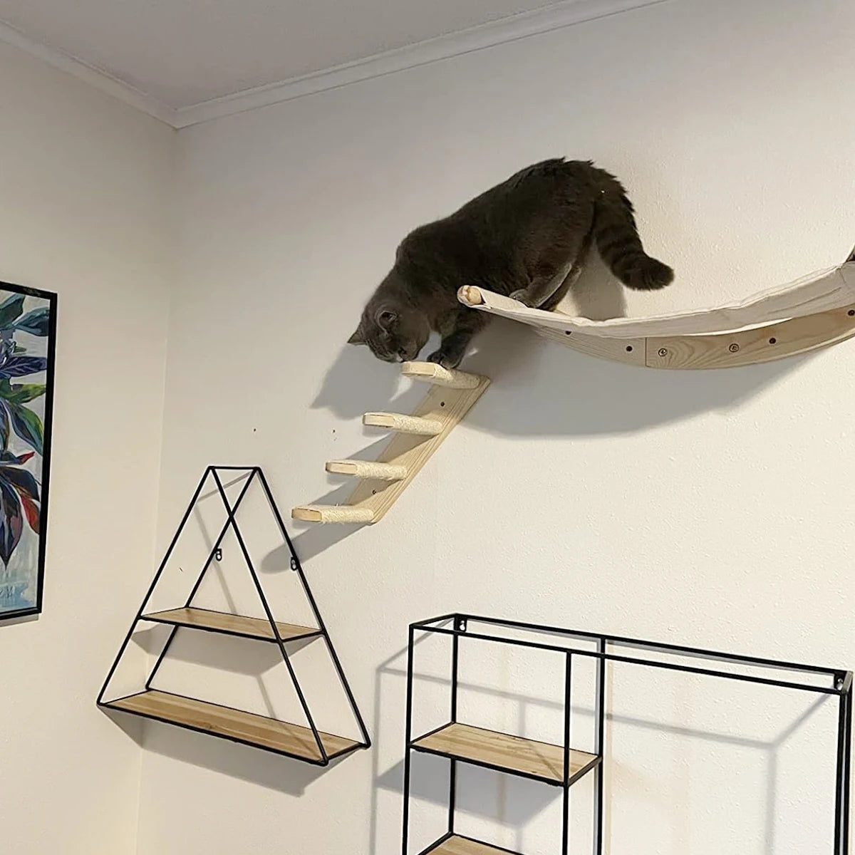 PETRAVELCN Cat Wall Shelf Climbing Steps Scratching Post Toy
