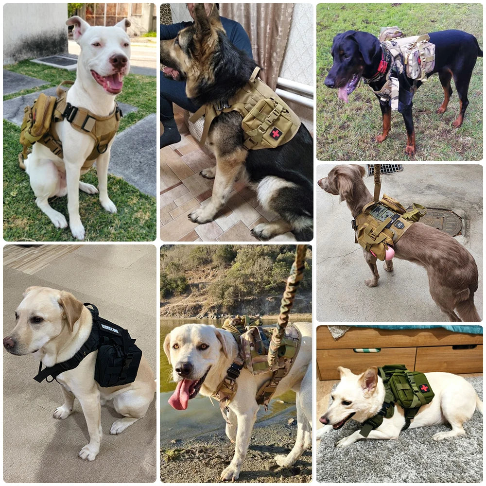 PETRAVELCN Large Dog Harness Vest Leash Set for Training