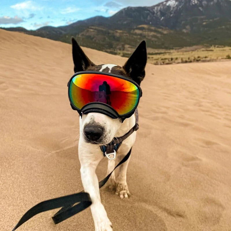 PETRAVELCN Dog Goggles UV Protection Windproof Sunglasses