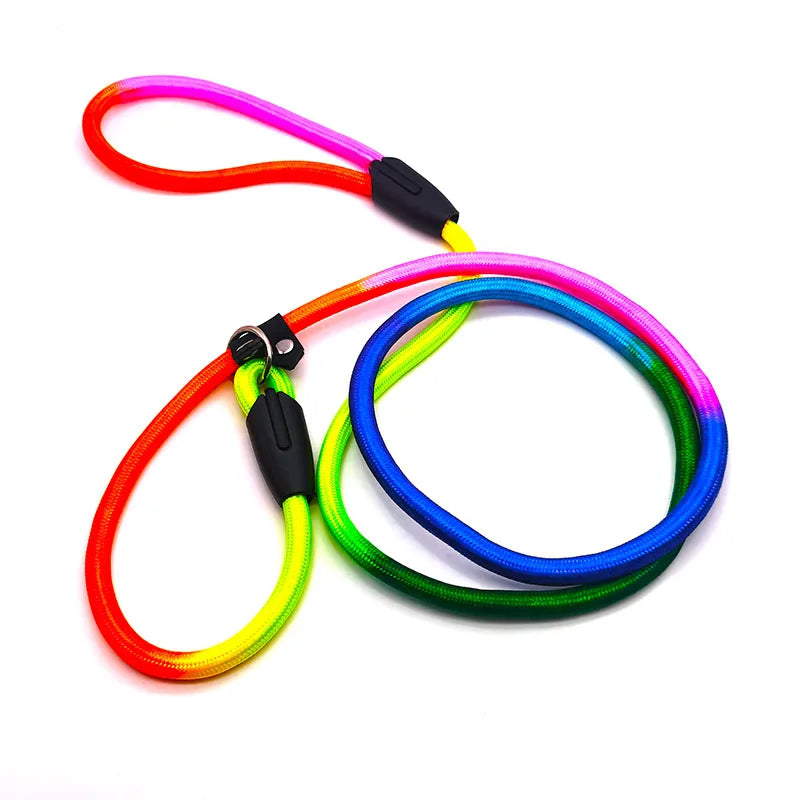 HATELICN Personalized Dog Leash And Harness Nylon Training