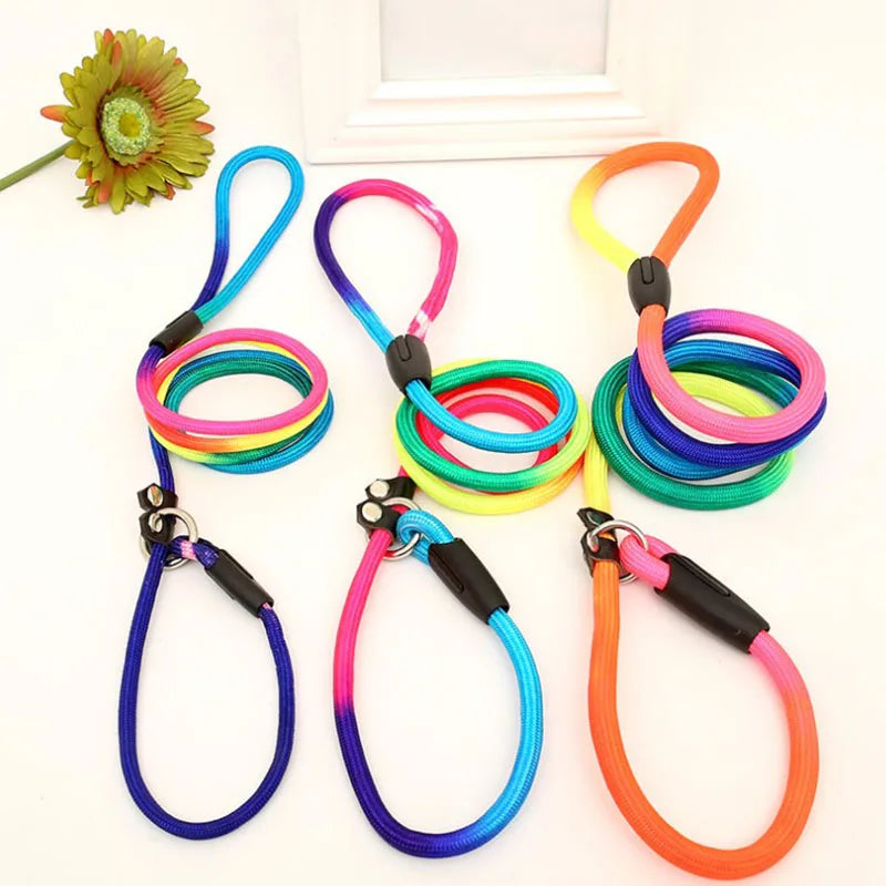 HATELICN Nylon Dog Leash Training Lead For Pets Premium