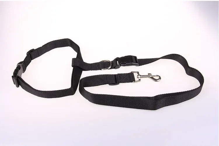 Pretty Pets Adjustable Pet Leash for Walking Cats Dogs