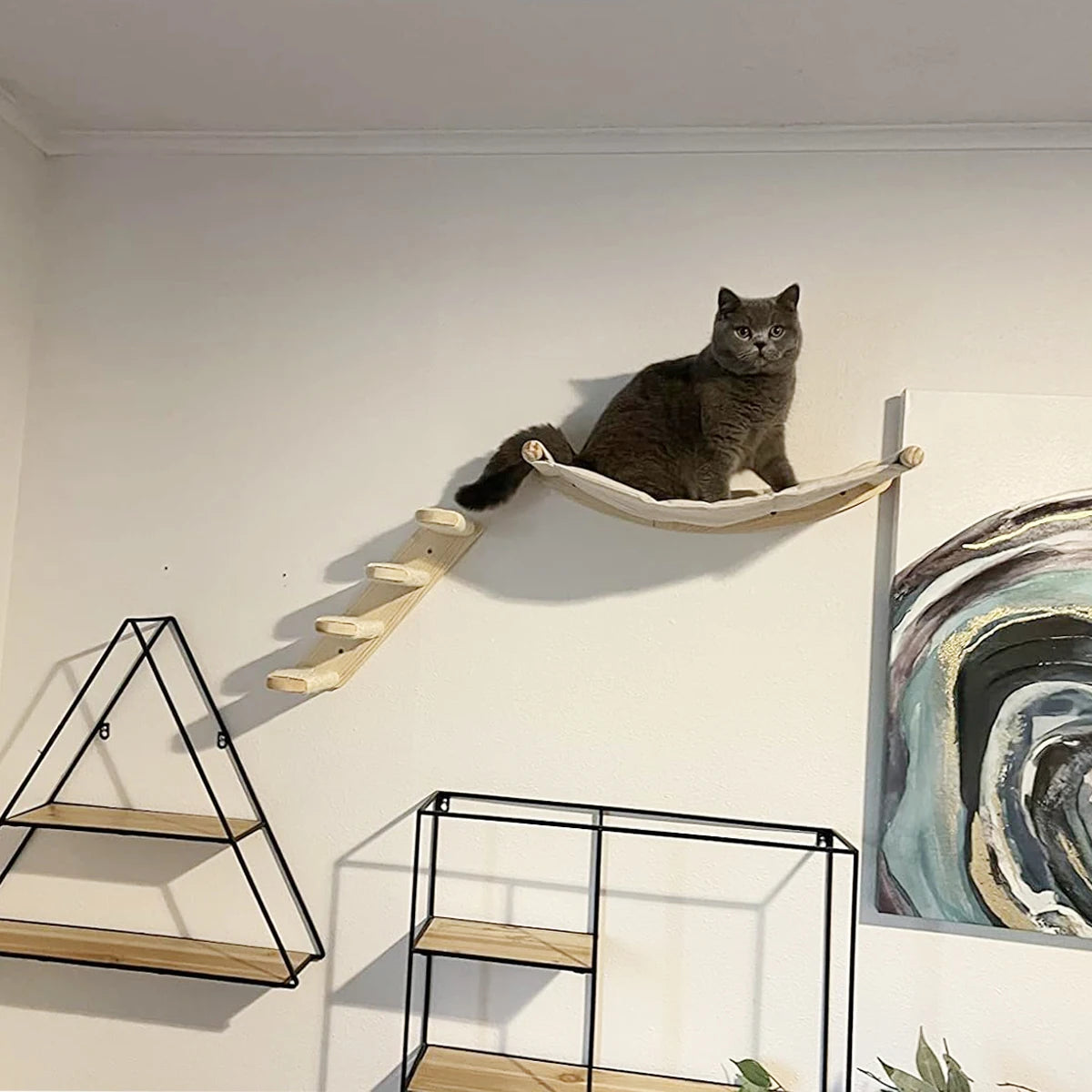 PETRAVELCN Cat Wall Shelf Climbing Steps Scratching Post Toy