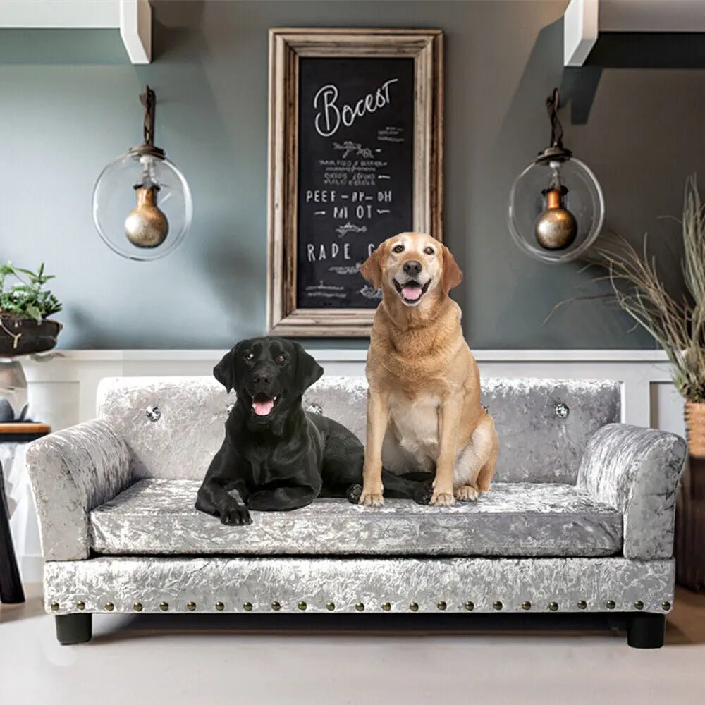 BORWARTCN Luxury Velvet Tufted Dog Sofa Bed Elevated