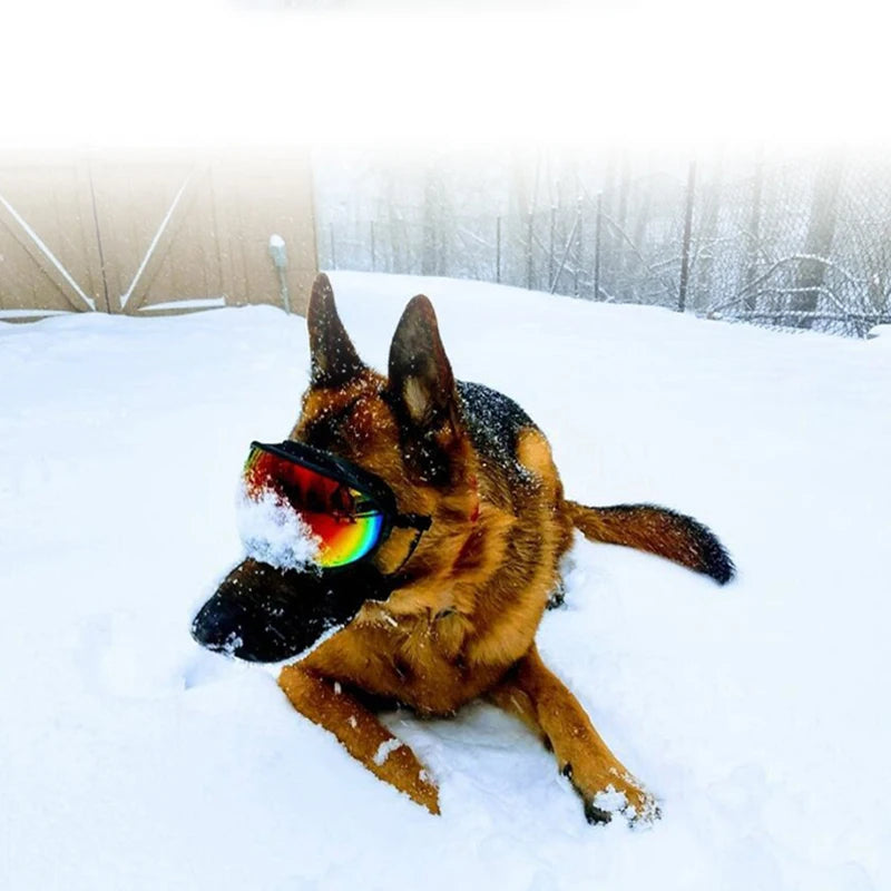 PETRAVELCN Dog Goggles UV Protection Windproof Sunglasses