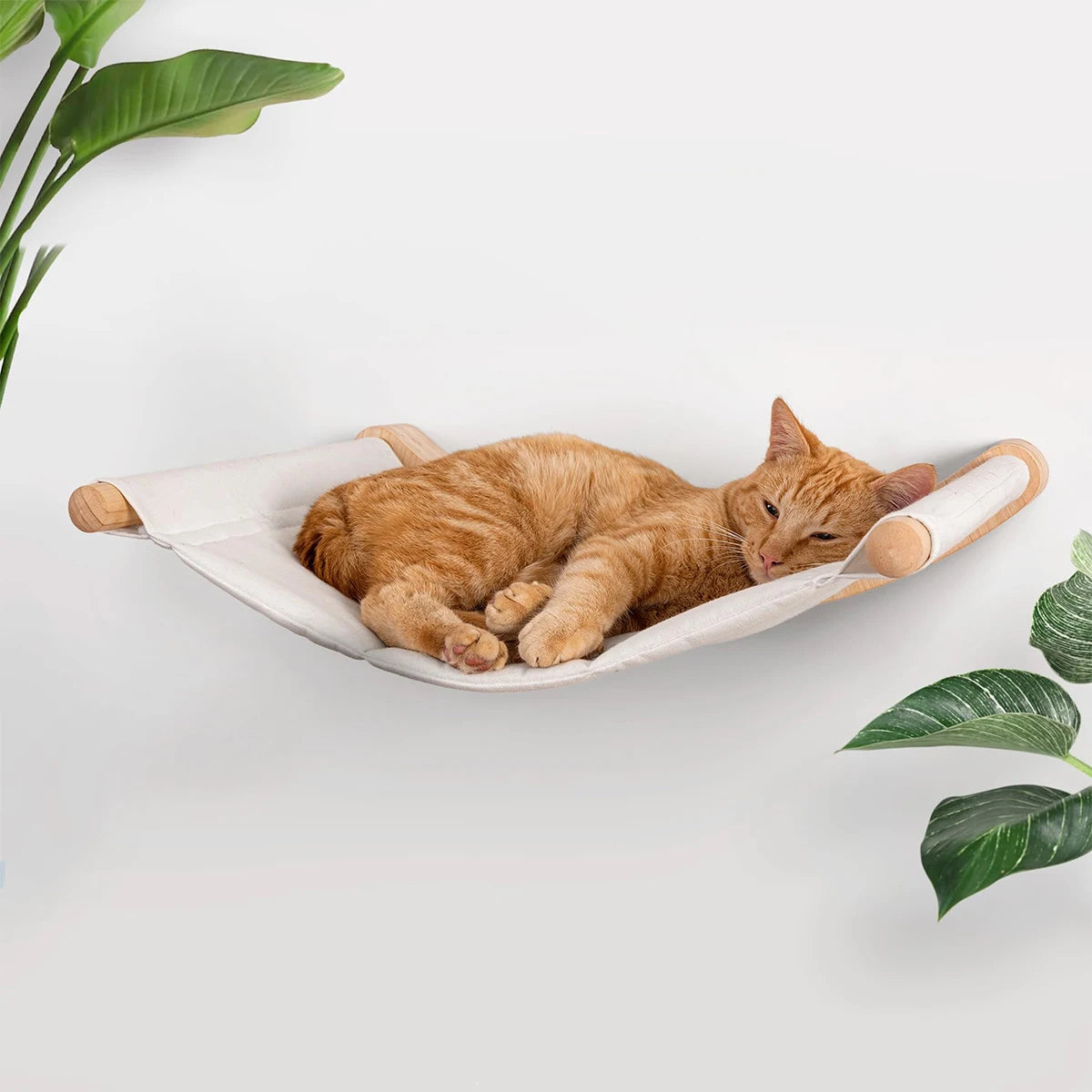 PETRAVELCN Cat Wall Shelf Climbing Steps Scratching Post Toy
