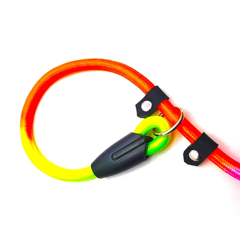 HATELICN Nylon Dog Leash Training Lead For Pets Premium